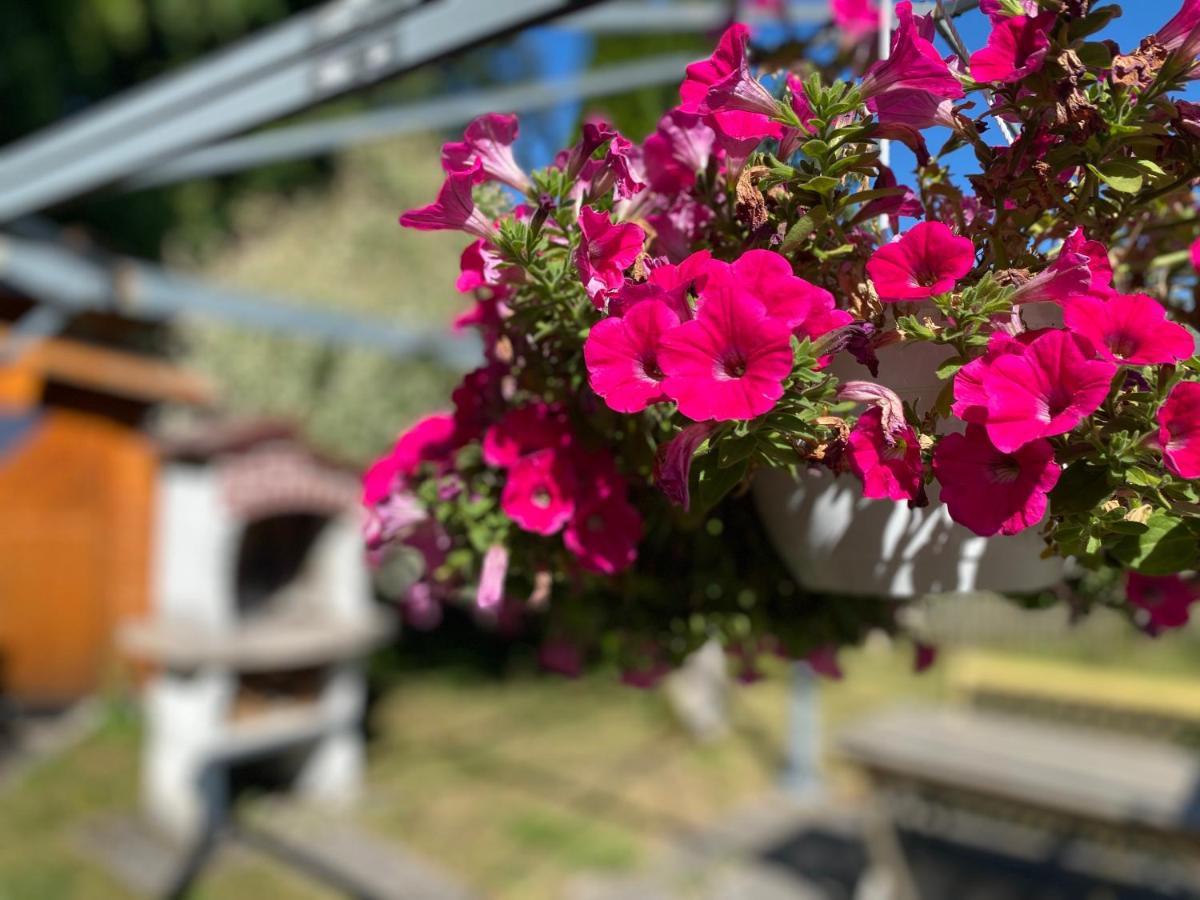 Ferienwohnung Am Franziskanergarten บัดเทิลซ์ ภายนอก รูปภาพ