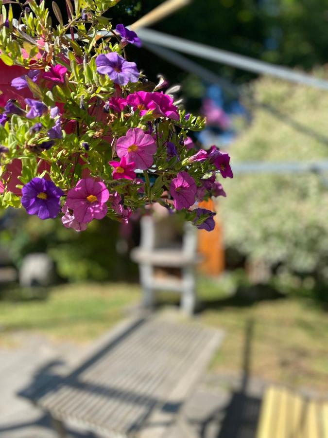 Ferienwohnung Am Franziskanergarten บัดเทิลซ์ ภายนอก รูปภาพ